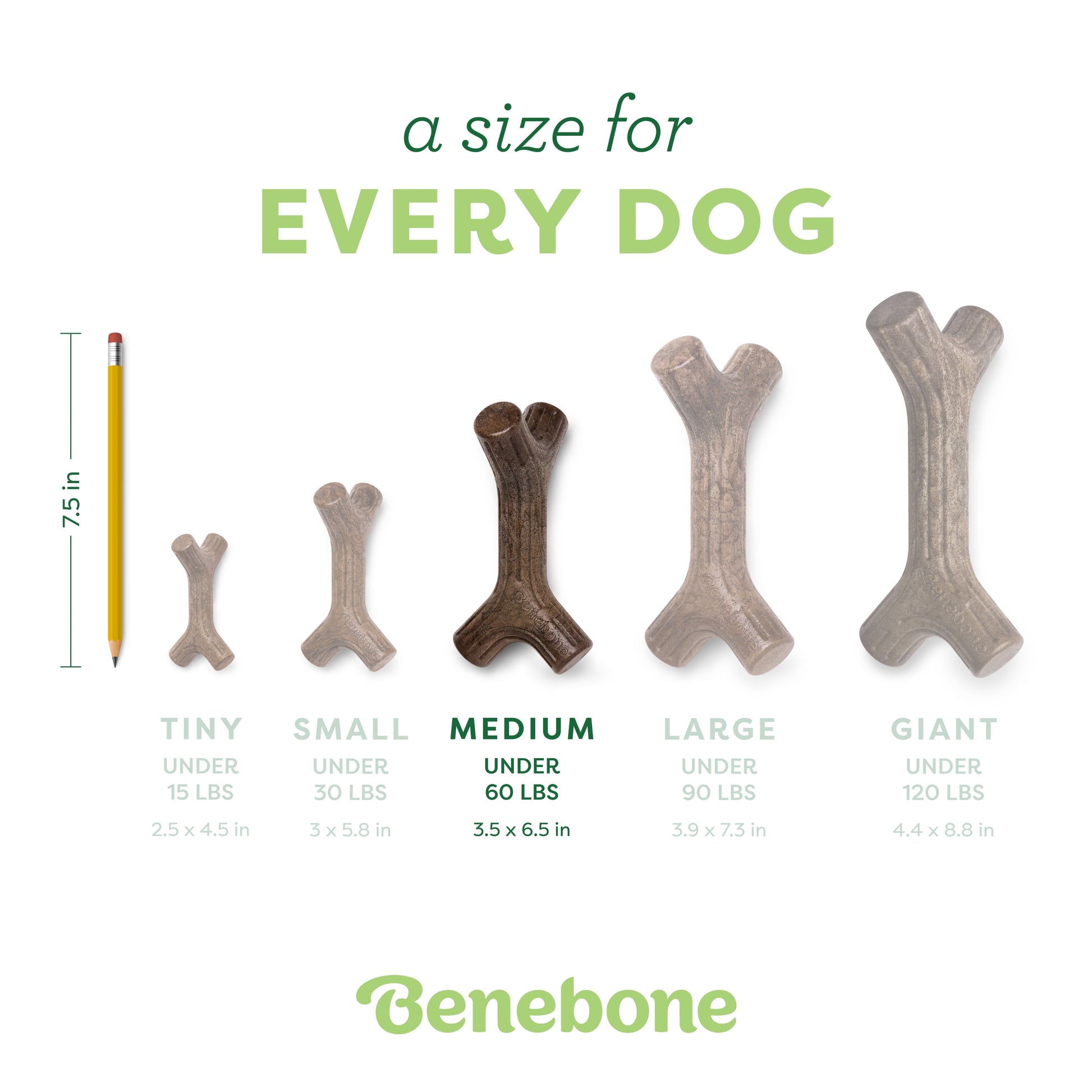 Maplestick Durable Dog Chew Toy for Aggressive Chewers, Real Maplewood, Medium