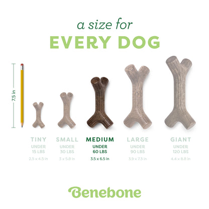 Maplestick Durable Dog Chew Toy for Aggressive Chewers, Real Maplewood, Medium