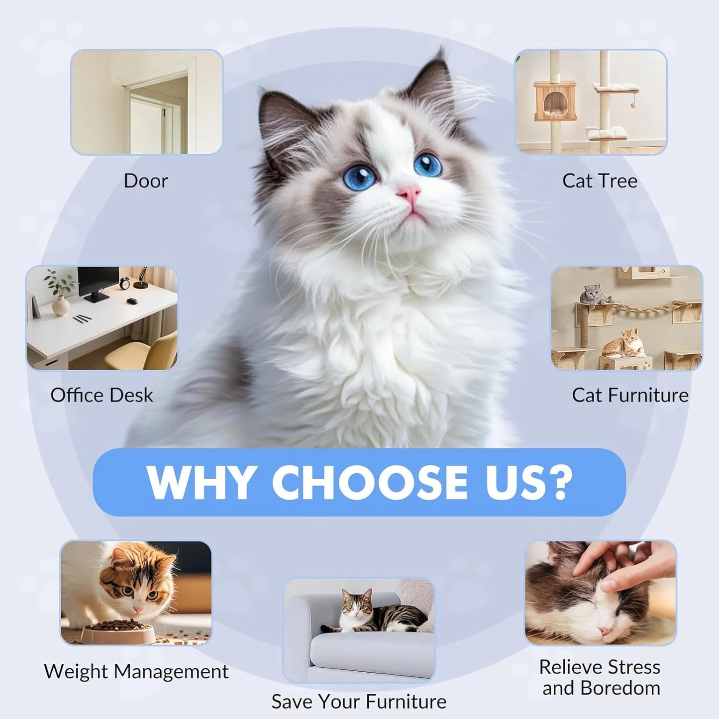 Risehigh Cats Toy Interactive for Indoor Cats Automatic Electric Flying Bird Feather Mouse Toy - Best Kitten & Adult Cat Enrichment Mouse Cat Toy Hanging Electric Kitty Toys for Bored Cats