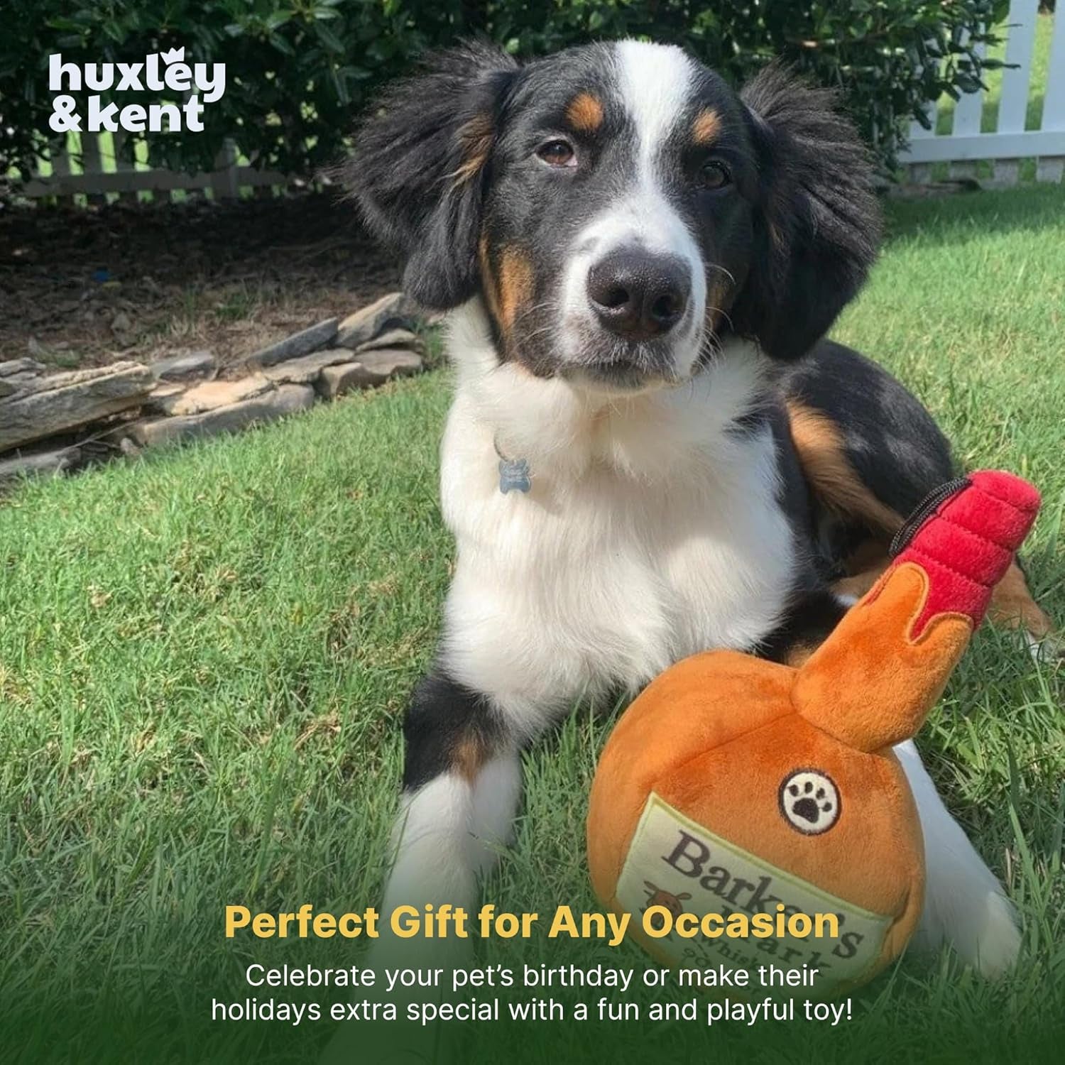 Funny Dog Toy W/Squeaker – Power Plush Squeaky Dog Toys for Small, Medium & Large Dogs – Soft Stuffed Animal for Indoor Play & Fetch - Barker'S Mark, Large