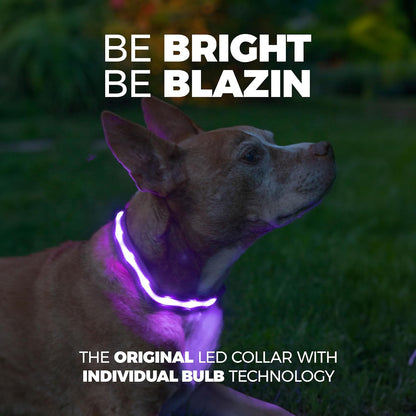 Light up Dog Collar - the Original LED Dog Collar - USB Rechargeable - Waterproof - 1,000 Feet of Visibility - Dog Collar Light for Small, Medium, Large Dogs - USA Brand